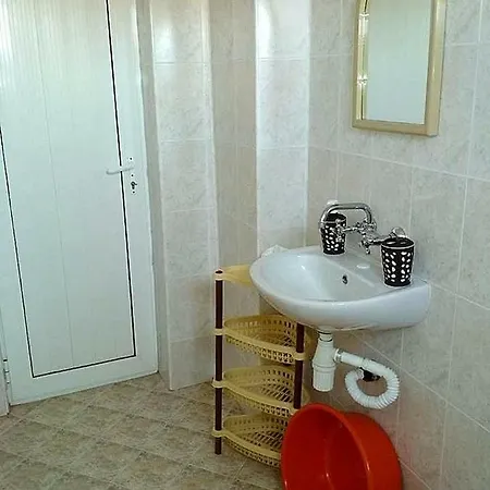 Zafi's House