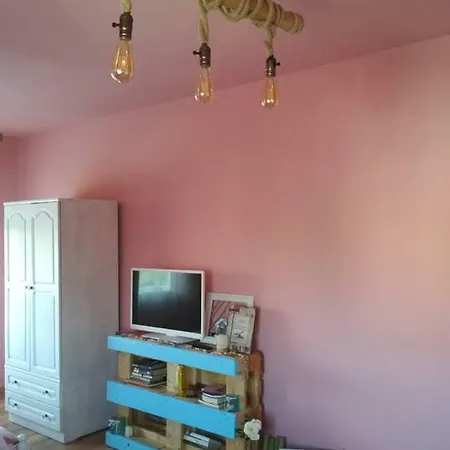Zafi's House